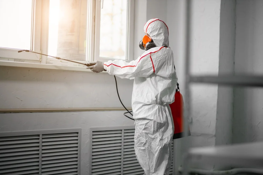 Professional mold remediation services in Hill, NH